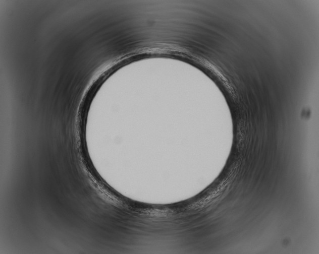 X0000100931122200806241131