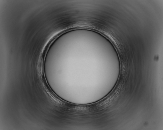 X0000100931123200806241131