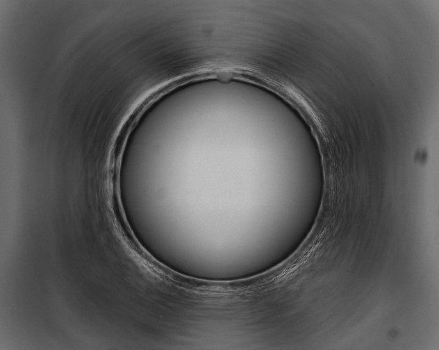 X0000100931124200806241131
