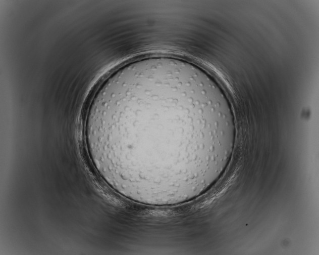 X0000100931125200806241131