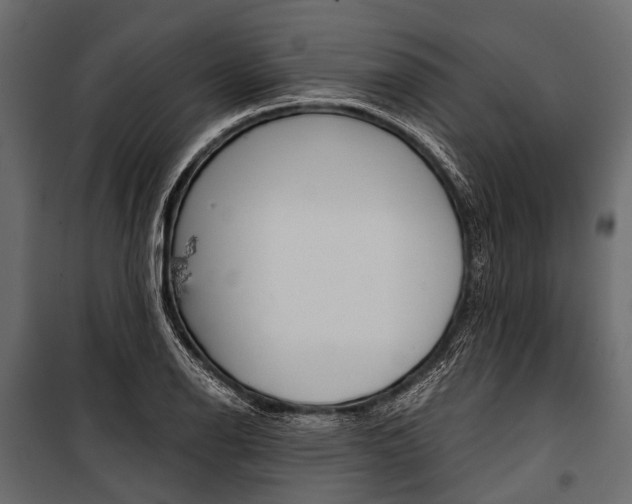 X0000100931126200806241131