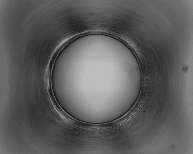 X0000100931127200806241131