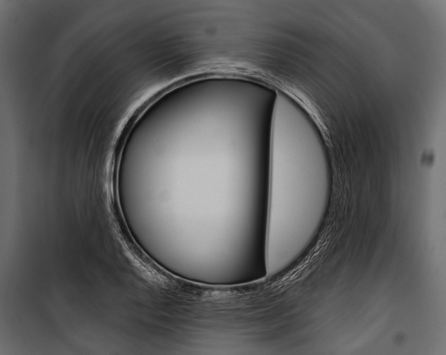 X0000100931128200806241131