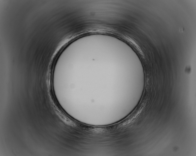 X0000100931130200806241131