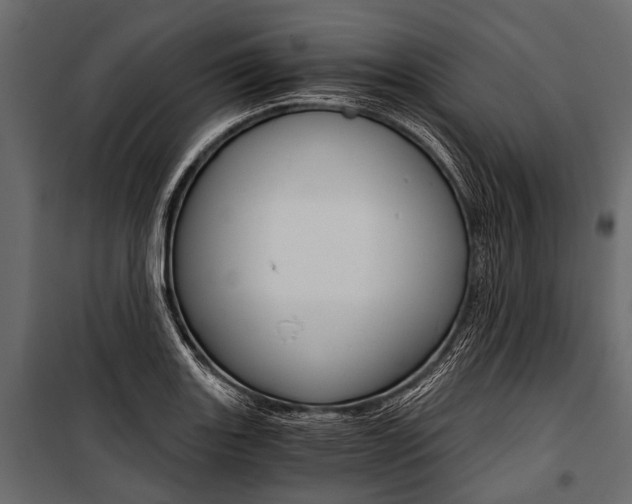 X0000100931131200806241131