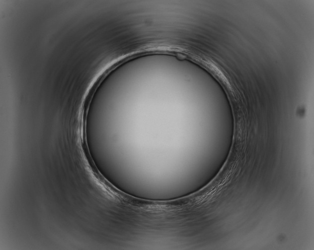 X0000100931132200806241131