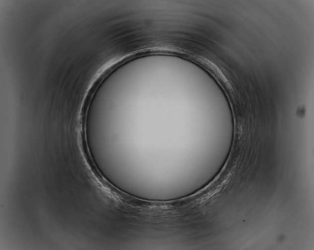 X0000100931133200806241131