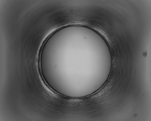 X0000100931135200806241131
