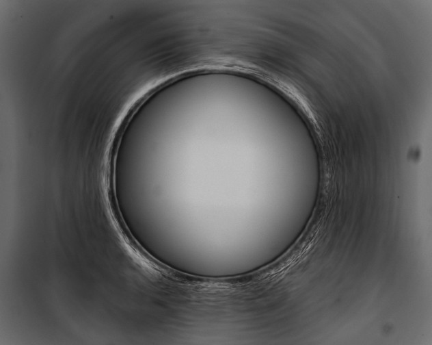 X0000100931136200806241131