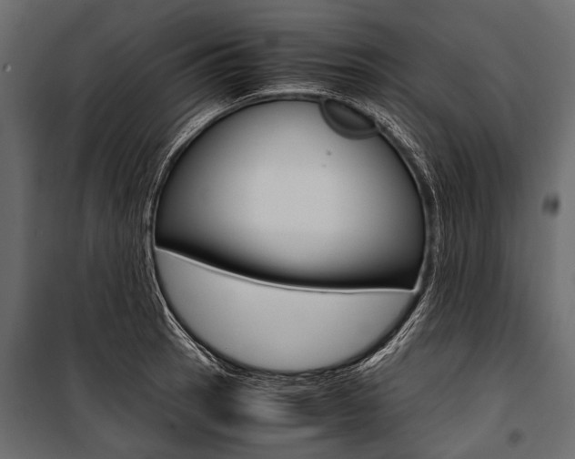 X0000100931137200806241131