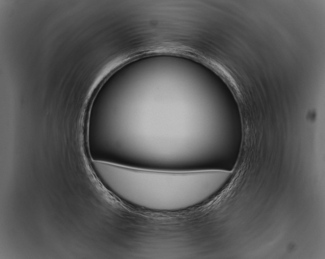 X0000100931138200806241131