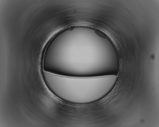 X0000100931139200806241131