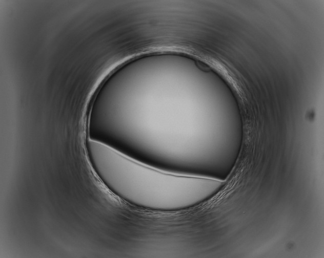 X0000100931140200806241131