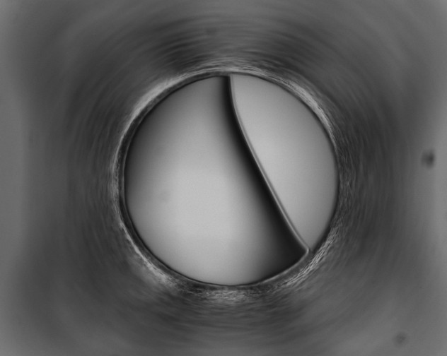 X0000100931141200806241131