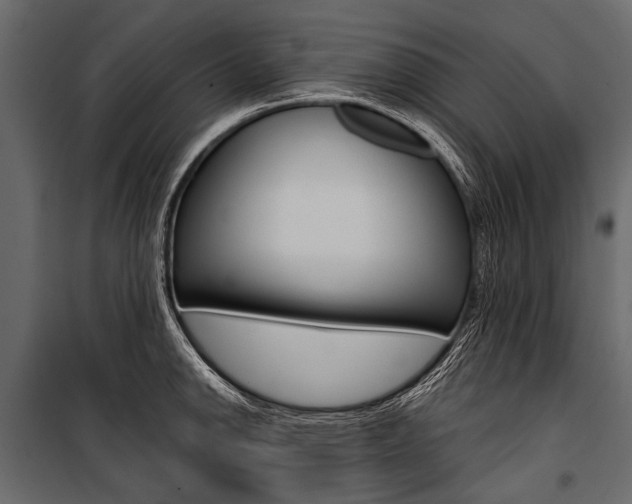X0000100931142200806241131