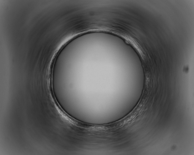 X0000100931143200806241131