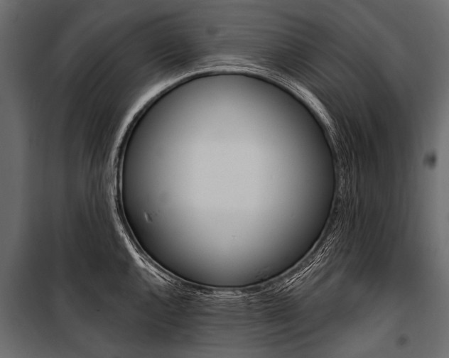 X0000100931144200806241131