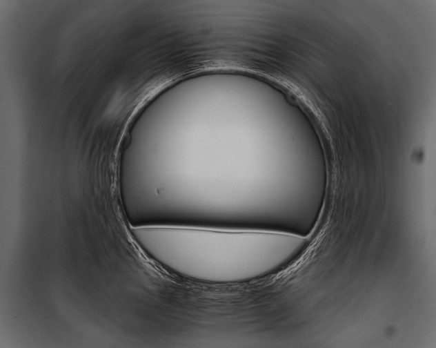 X0000100931145200806241131