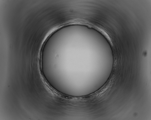 X0000100931146200806241131