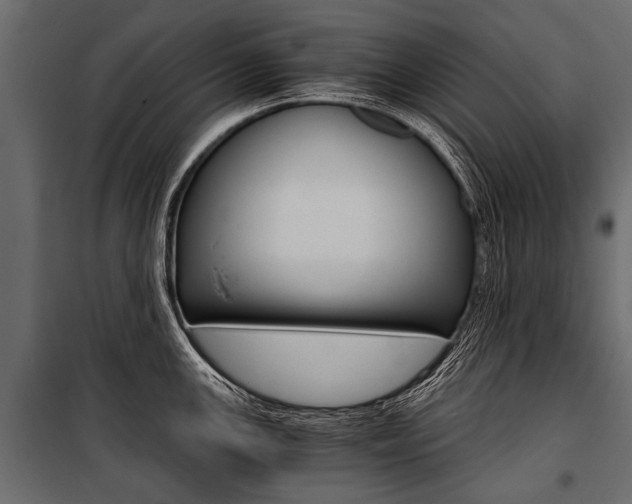 X0000100931147200806241131