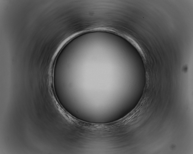 X0000100931148200806241131