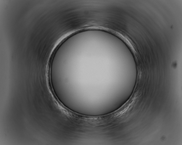 X0000100931149200806241131