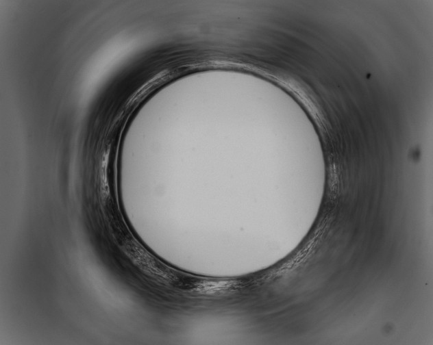 X0000100931150200806241131
