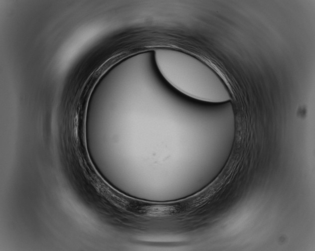 X0000100931151200806241131