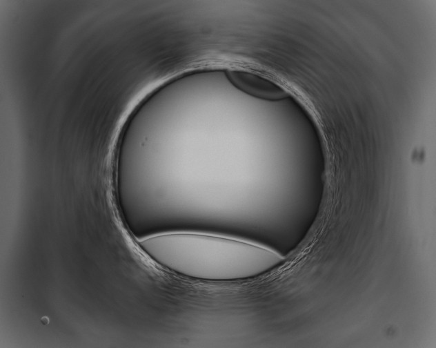 X0000100931152200806241131