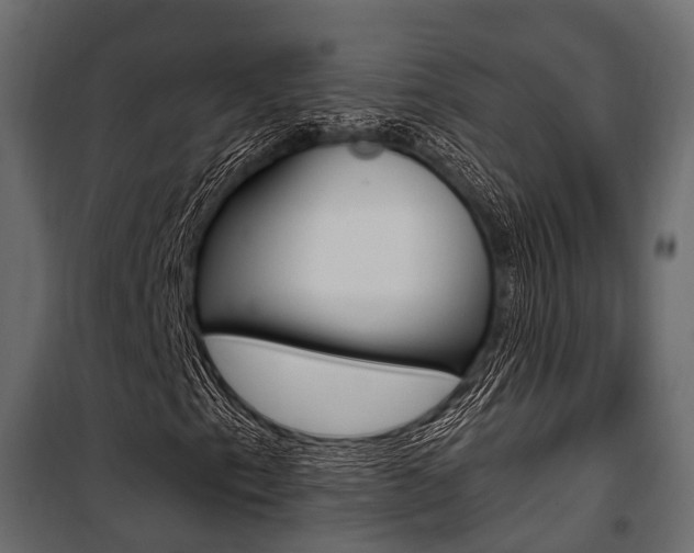 X0000100931153200806241131