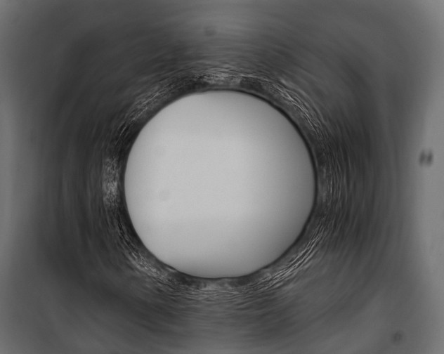 X0000100931154200806241131