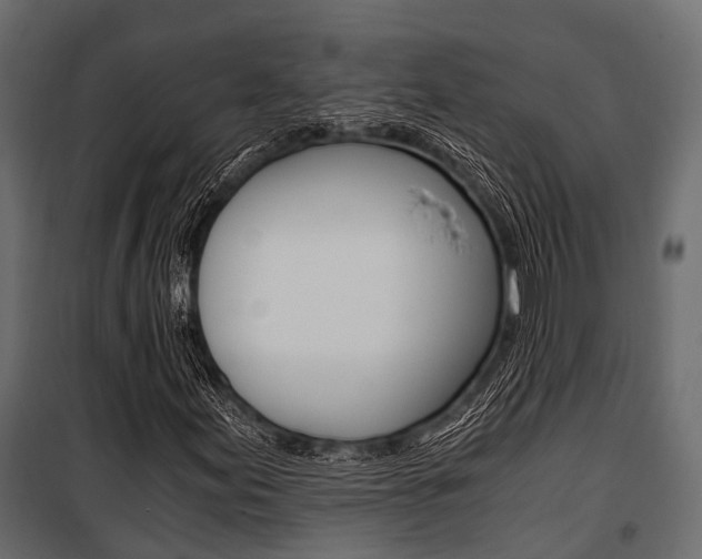 X0000100931155200806241131