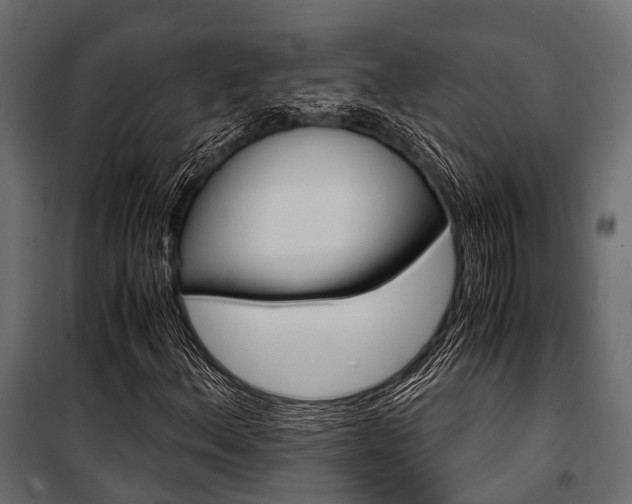 X0000100931156200806241131
