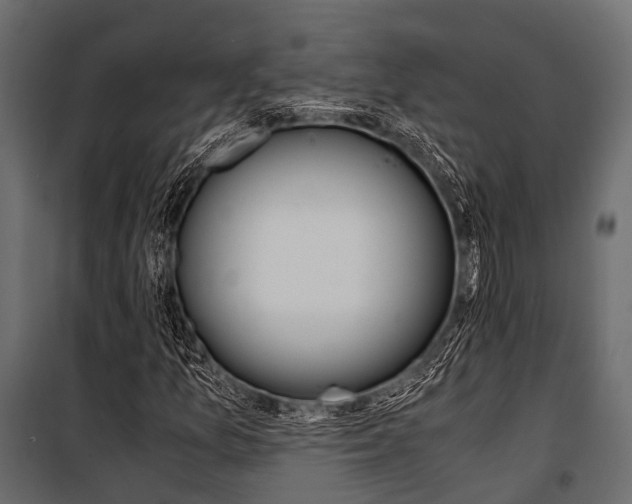 X0000100931157200806241131