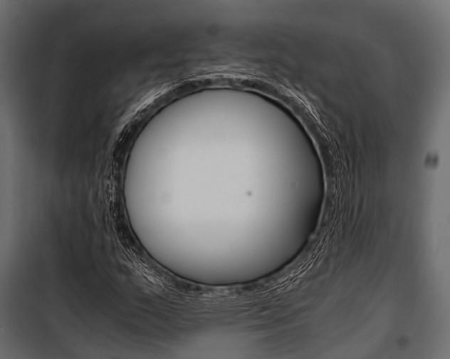 X0000100931159200806241131