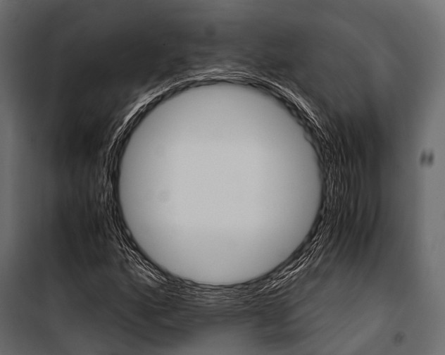 X0000100931160200806241131