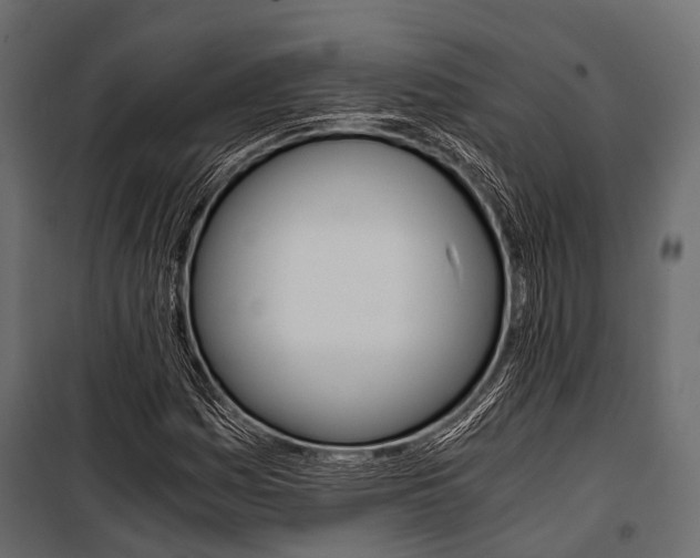 X0000100931161200806241130