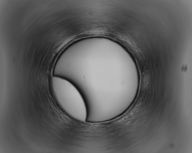 X0000100931162200806241130