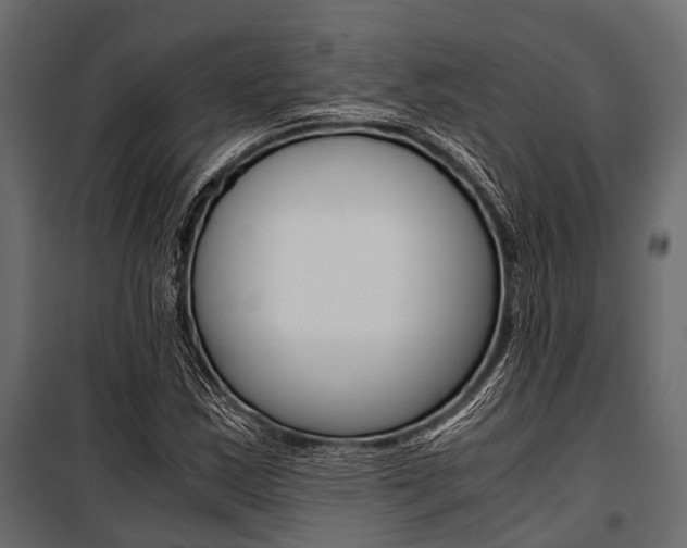 X0000100931163200806241130
