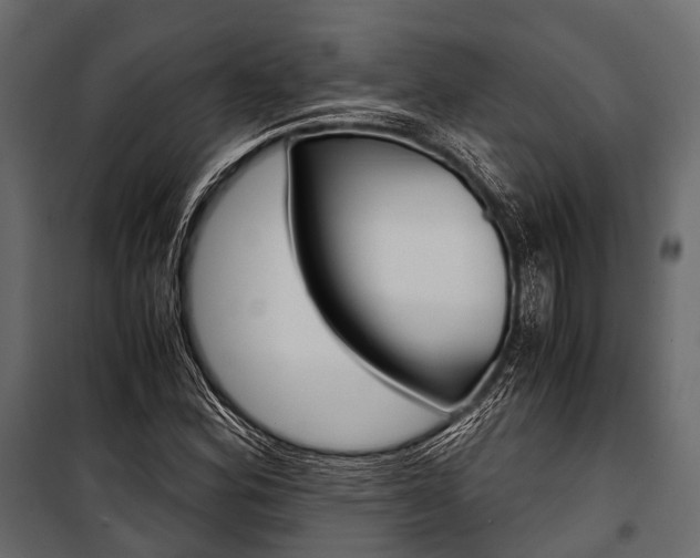 X0000100931164200806241130