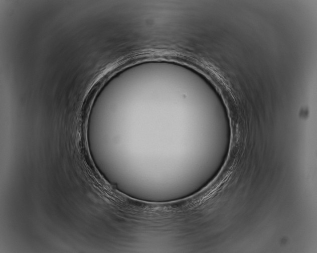 X0000100931165200806241130