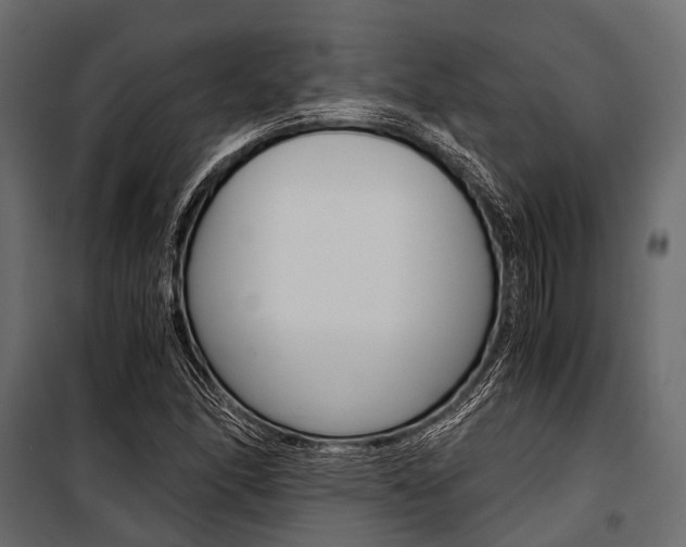 X0000100931166200806241130