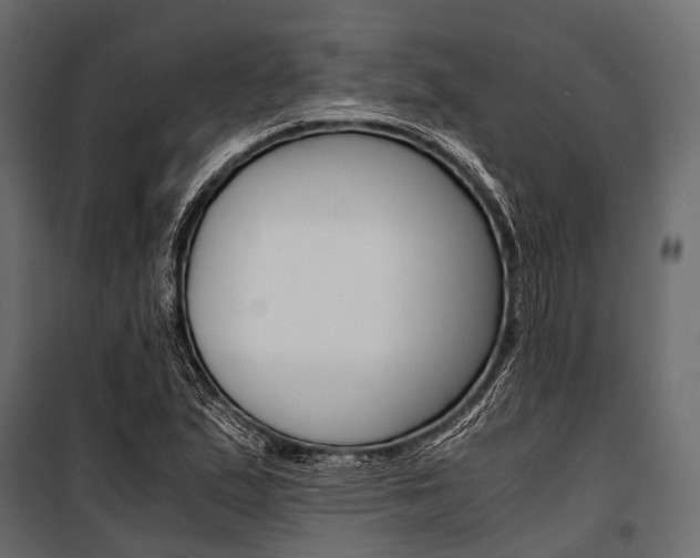 X0000100931167200806241130