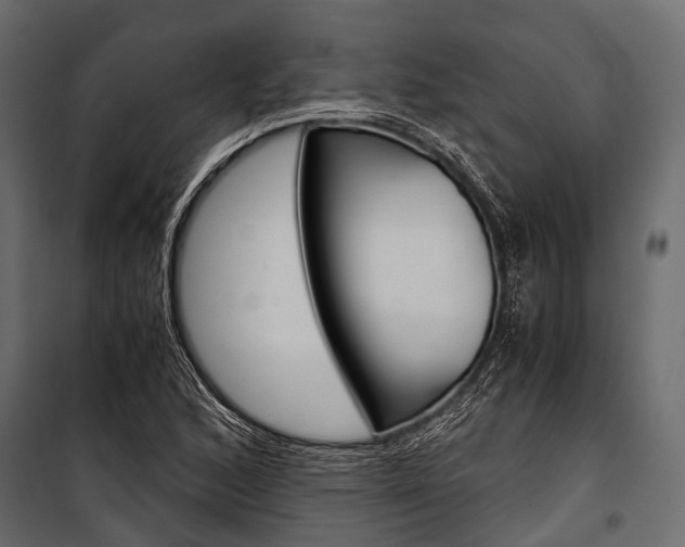 X0000100931168200806241130