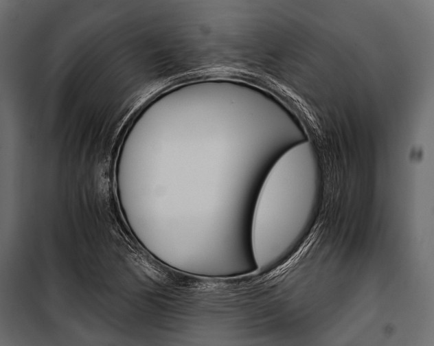 X0000100931170200806241130