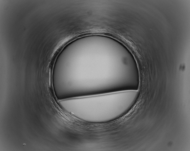 X0000100931171200806241130