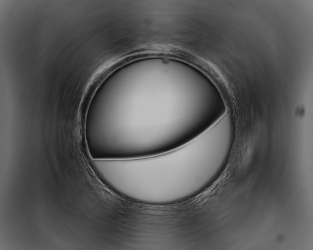 X0000100931172200806241130