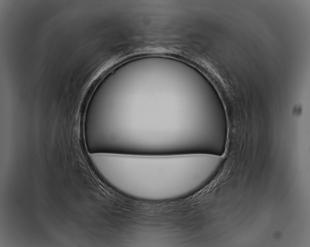 X0000100931173200806241130