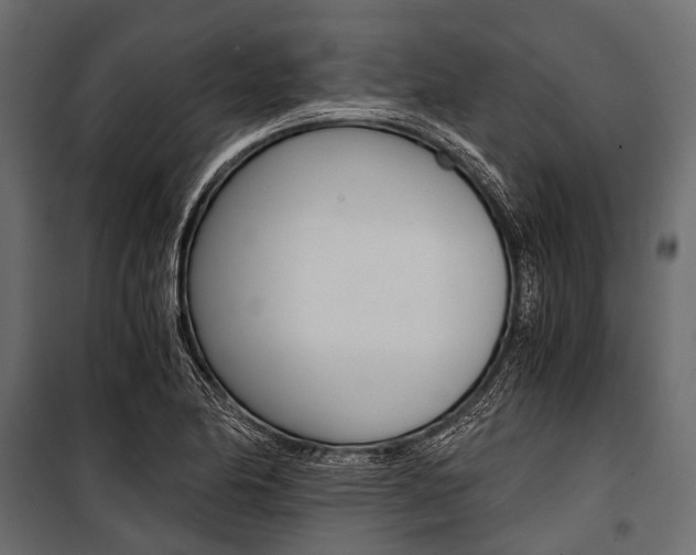 X0000100931174200806241130