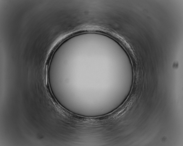 X0000100931175200806241130